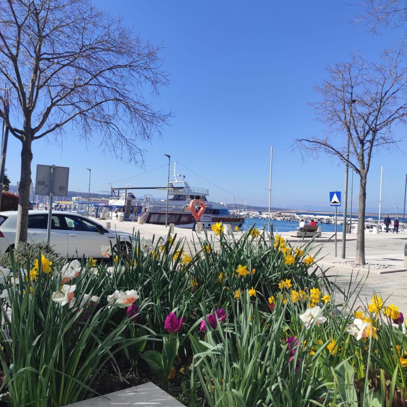 Miracle Apartment Crikvenica Εξωτερικό φωτογραφία